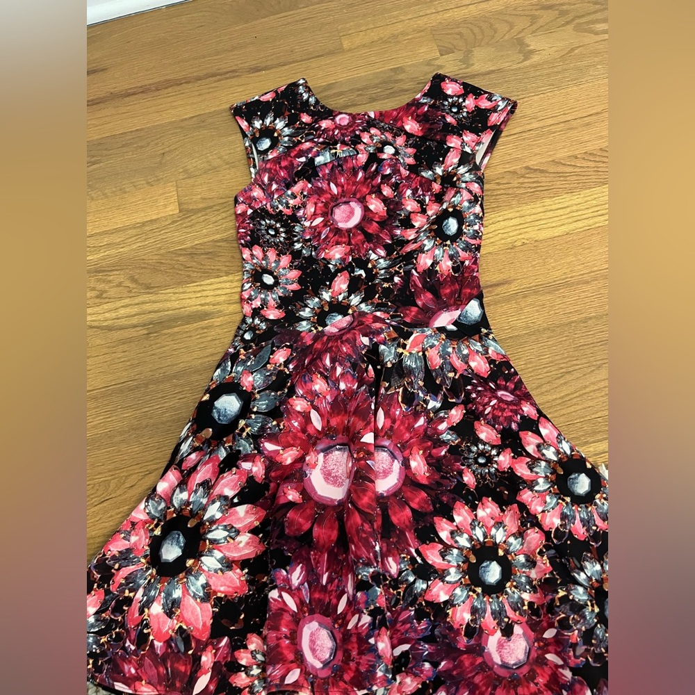 Ted Baker Dress
